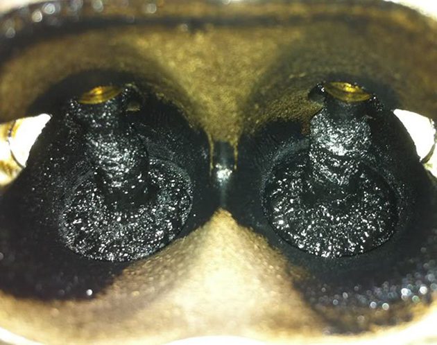 你知道什么是 Direct Injection 吗？