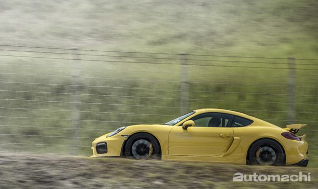 Porsche Cayman GT4 ，为赛道而生！