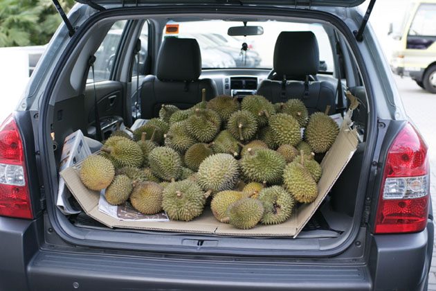 你不知道的事: Durian 异味怎么去除?