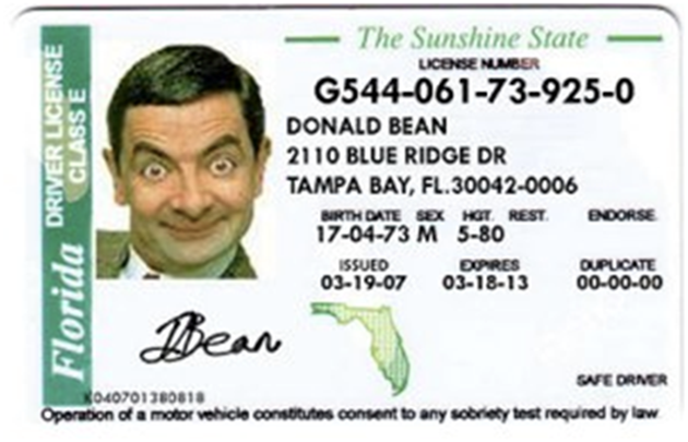 P license 新手司机必须要注意的几个要点!