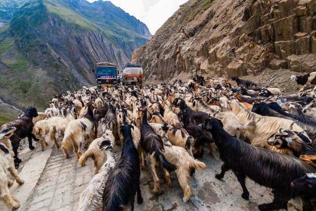 Dangerous Road 十大危险公路,你敢开上去吗?