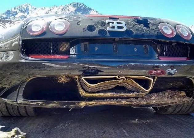 最美的交通意外！ Bugatti Veyron 冲出雪山！