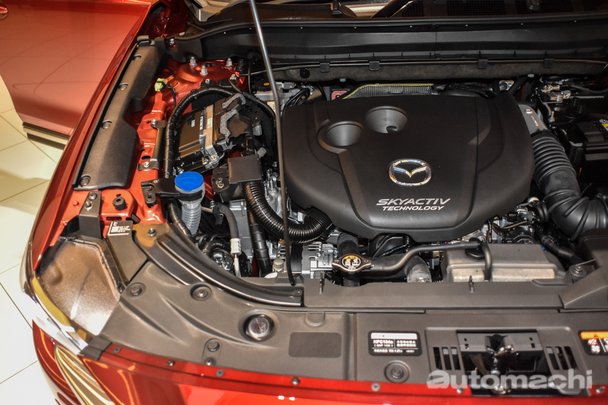 Mazda CX-8 确定将CKD，最快年尾开售！
