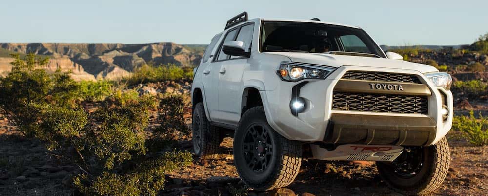 Consumer Report 公布10款最可靠的车款名单，第一名你肯定非常惊讶