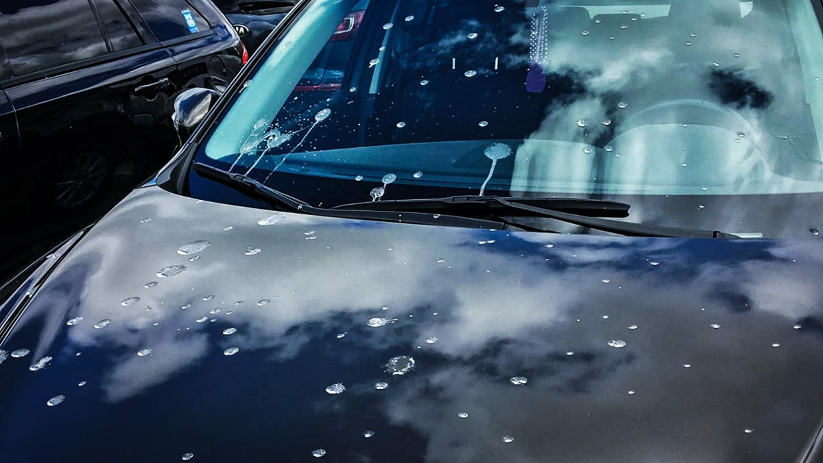 Car Paint 最怕之一！鸟粪对车漆影响有多大？