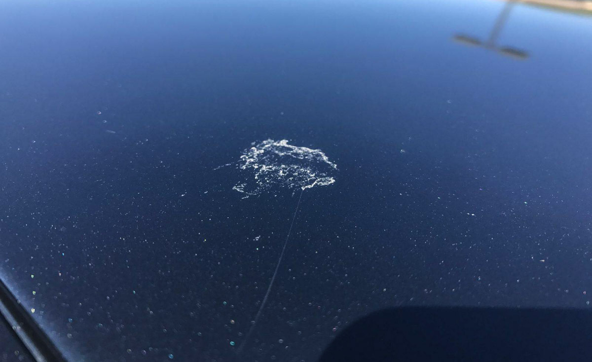 Car Paint 最怕之一！鸟粪对车漆影响有多大？