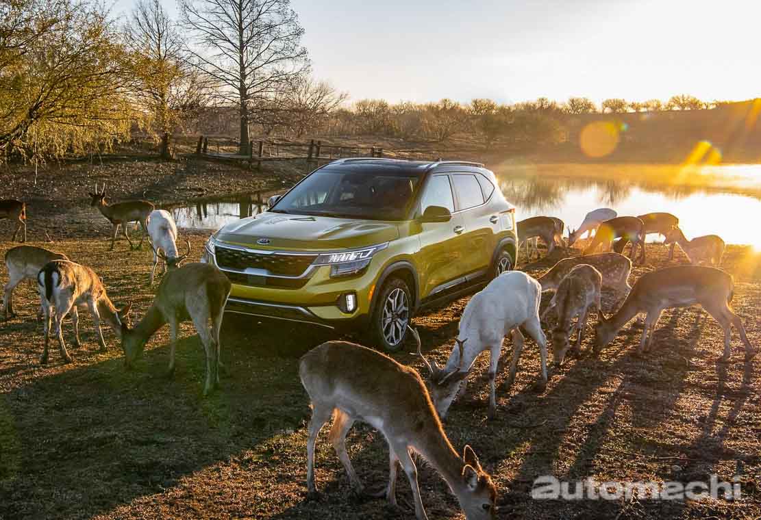 2020 Kia Seltos 正式开放预订,两个车型供选择