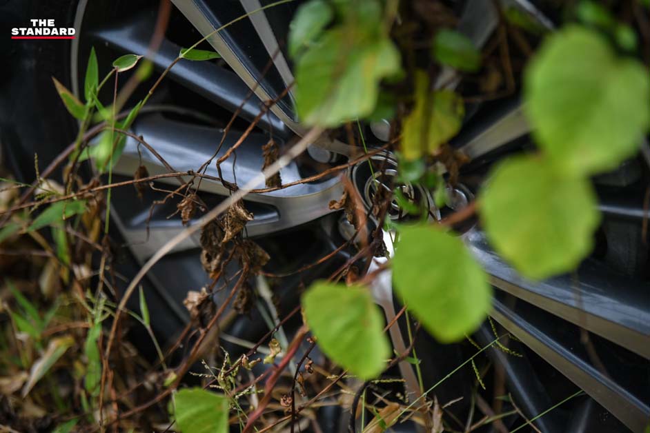 疫情重创旅游业,数百辆 Toyota Corolla 德士惨遭遗弃