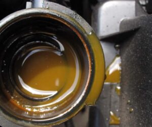 Radiator 散热器加水就可以用了？加专用 Coolant 冷却液是智商税吗？