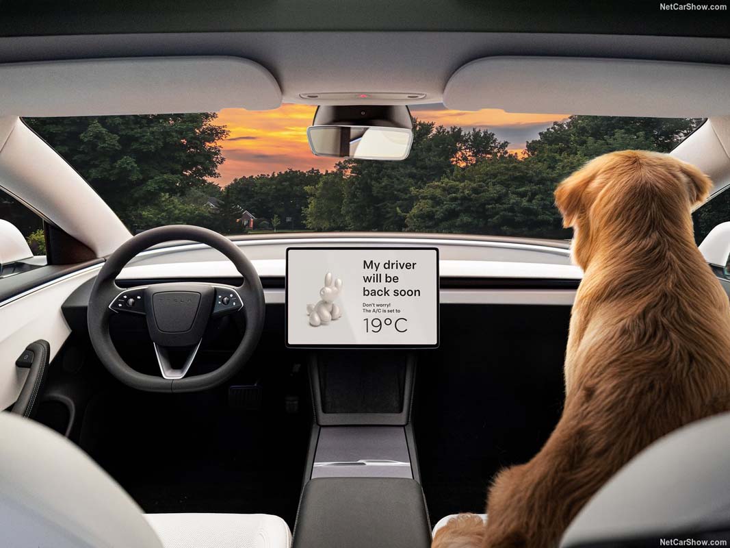 击败 BYD ! Tesla 2024年第三季度重夺 BEV 销售冠军宝座